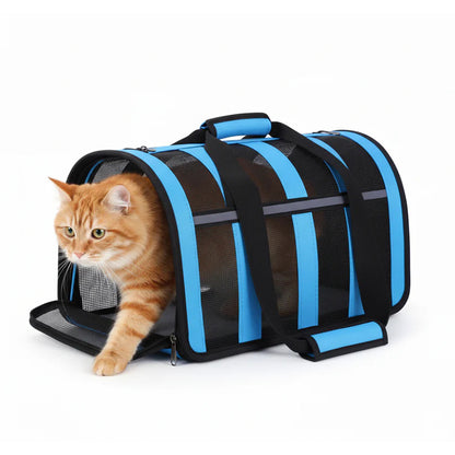 Cat & Small Dog Travel Carrier – Foldable Breathable Mesh Pet Bag with Handle & Shoulder Strap