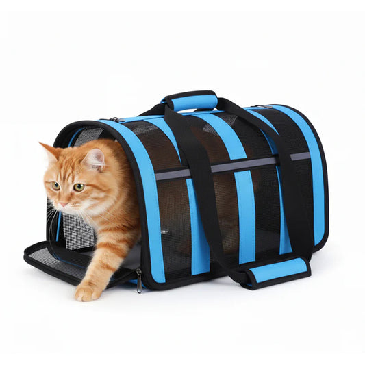 Cat & Small Dog Travel Carrier – Foldable Breathable Mesh Pet Bag with Handle & Shoulder Strap