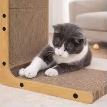 Grey cat using L-shaped cardboard scratcher – floor angle lifestyle photo