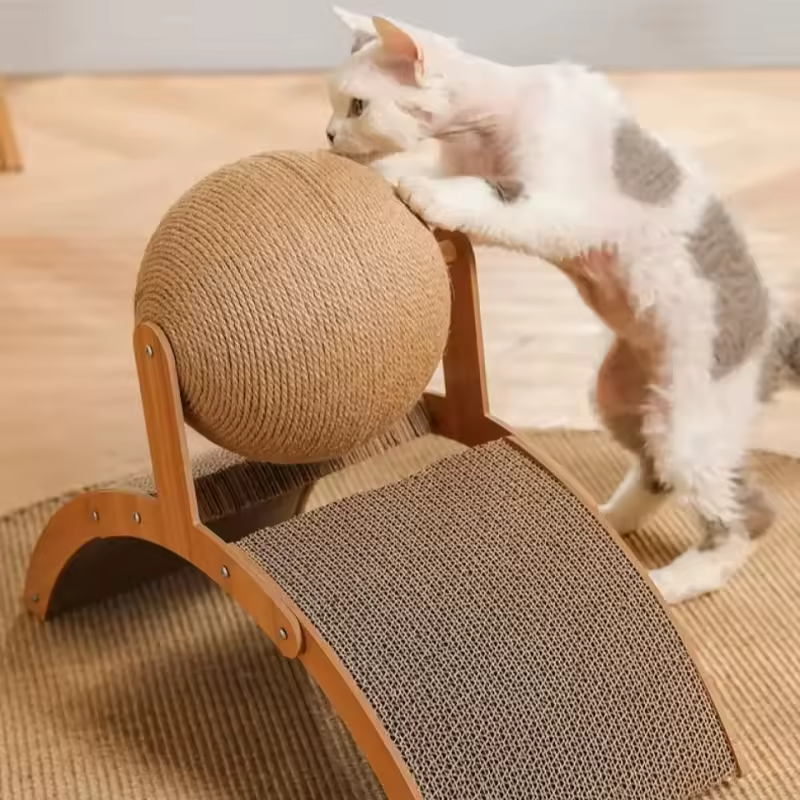 Cat lying next to sisal ball scratcher – lifestyle photo on rug