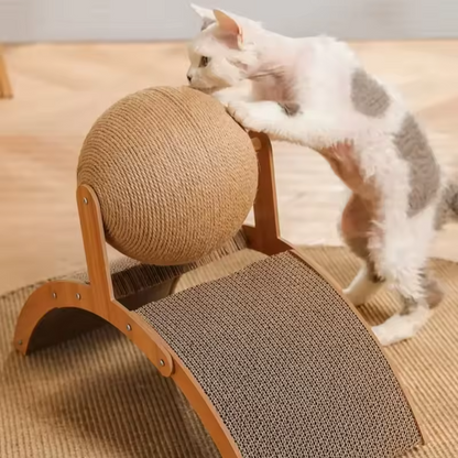 Cat lying next to sisal ball scratcher – lifestyle photo on rug
