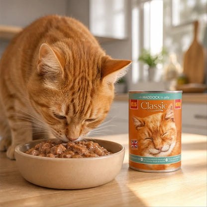 Wet Cat Food with Haddock in Jelly – Complete & Balanced Adult Cat Food, 400g x 12 Cans