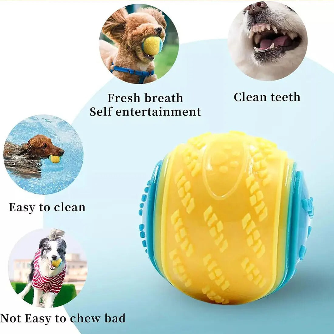 8 Pack Squeaky Dog Toys – Interactive Chew & Fetch Balls for Puppies & Dogs