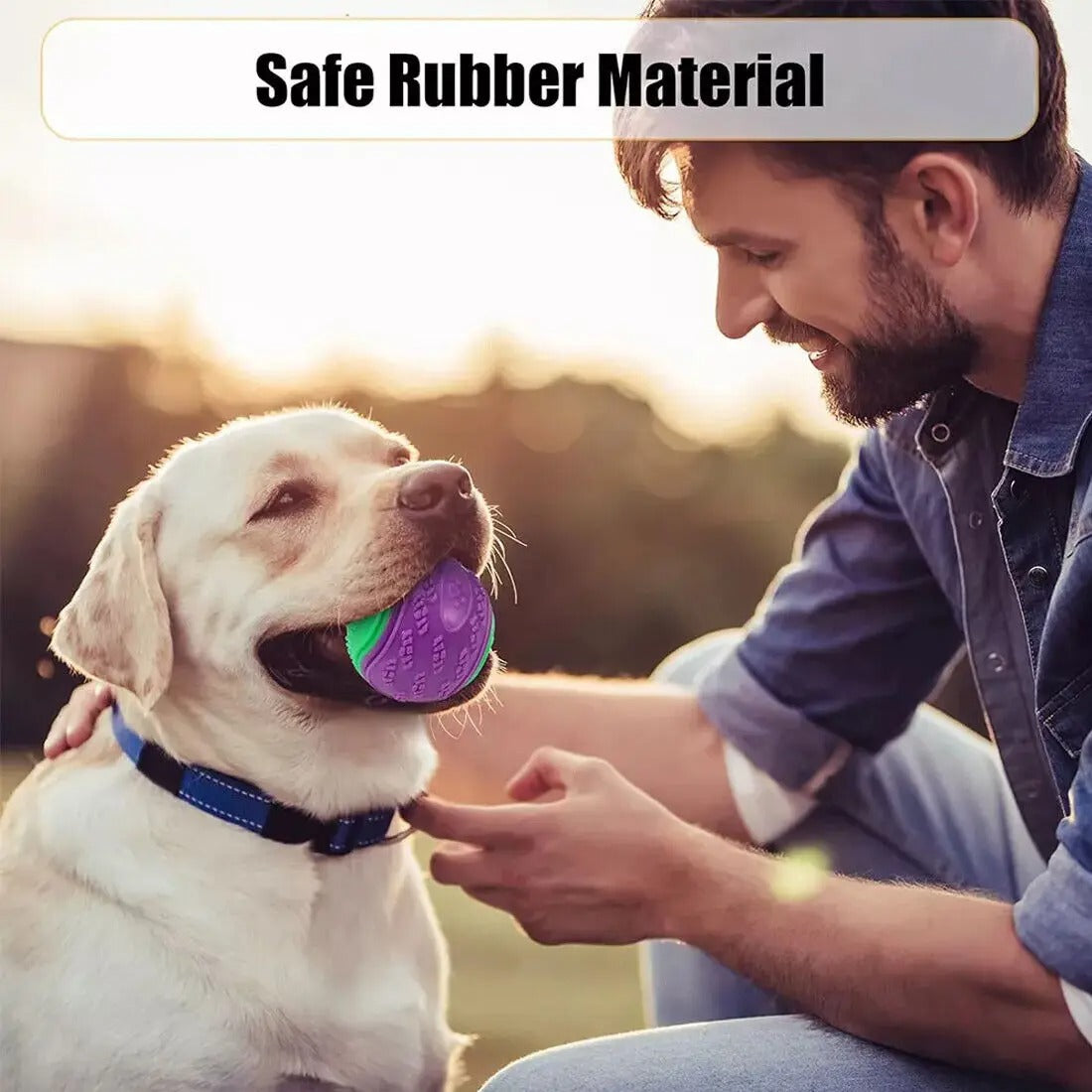 8 Pack Squeaky Dog Toys – Interactive Chew & Fetch Balls for Puppies & Dogs